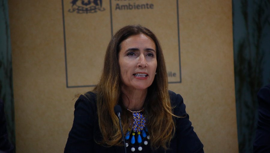 Ministra Schmidt comentó nuevo episodio de contaminación en Quintero
