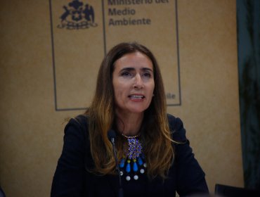 Ministra Schmidt comentó nuevo episodio de contaminación en Quintero