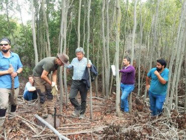 Conaf dictó curso sobre innovador manejo de 3 mil hectáreas de bosques nativos de la región de Valparaíso