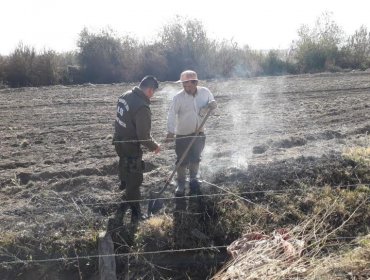 Cinco personas fueron detenidas por quemas agrícolas ilegales en Aconcagua