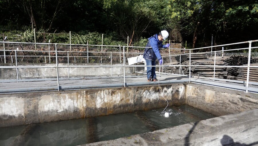 Superintendencia: Hay nueve plantas sanitarias con riesgos similares al de Osorno