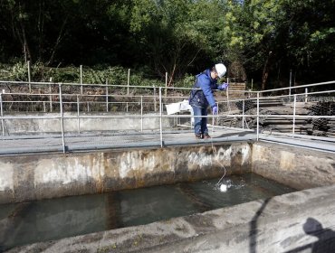 Superintendencia: Hay nueve plantas sanitarias con riesgos similares al de Osorno