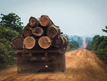 Greenpeace: Políticas de Jair Bolsonaro están destruyendo el Amazonas de Brasil