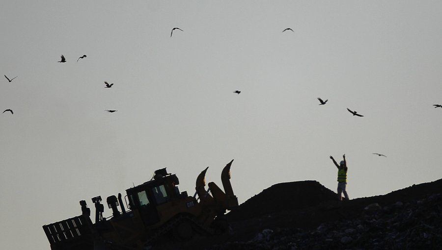 Tribunal Ambiental da luz verde a planta de residuos en Tiltil