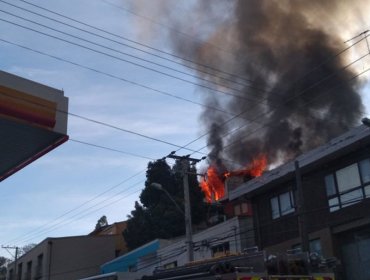 Un adulto mayor muerto y 3 lesionados en incendio de 3 viviendas en Viña del Mar