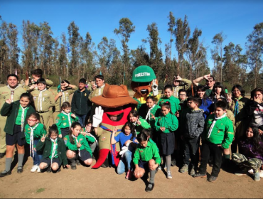 Scouts plantaron 100 árboles nativos en el Parque Quebrada Verde de Valparaíso