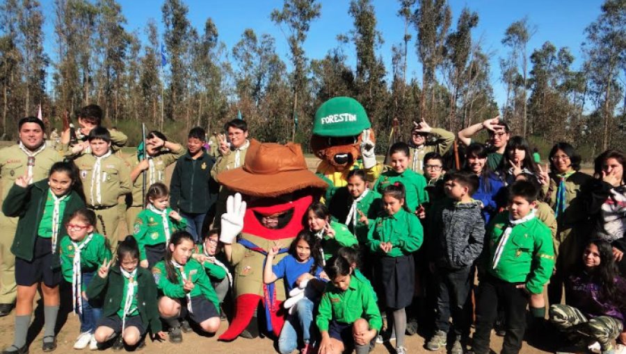 Scouts plantaron 100 árboles nativos en el Parque Quebrada Verde de Valparaíso