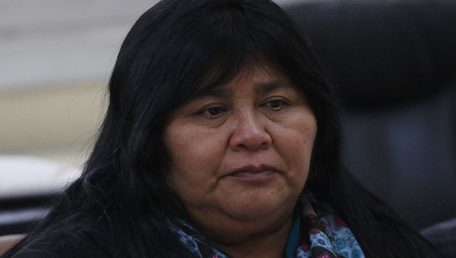 Diputada Emilia Nuyado llama a senadores de oposición a rechazar el TPP-11