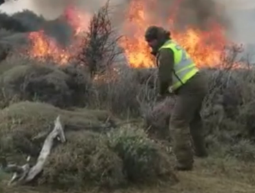 Declaran Alerta Amarilla por incendio forestal de difícil acceso en Torres del Paine