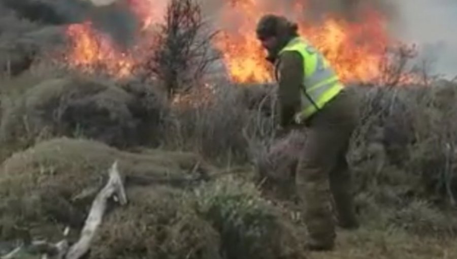 Declaran Alerta Amarilla por incendio forestal de difícil acceso en Torres del Paine