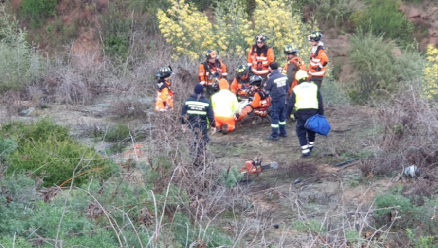 Conductor desbarrancó por unos 50 metros en ruta Las Palmas: él mismo llamó a Carabineros