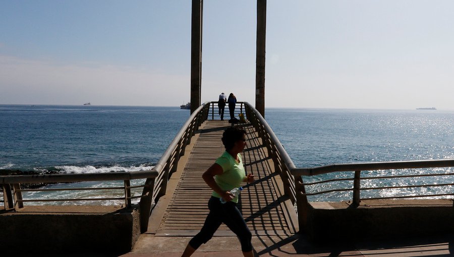 La genética de los campeones: Cómo influye la nutrición en los deportistas de alto rendimiento