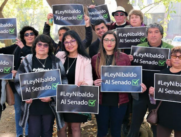 Cámara de Diputados aprobó con 132 votos a favor la "Ley Nibaldo"