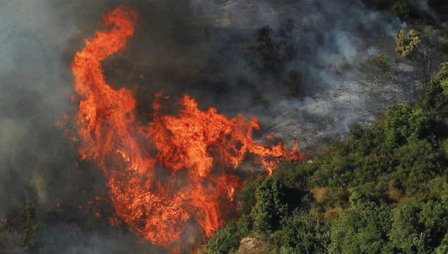 Alerta amarilla por incendio forestal que destruyó una vivienda en Monte Patria