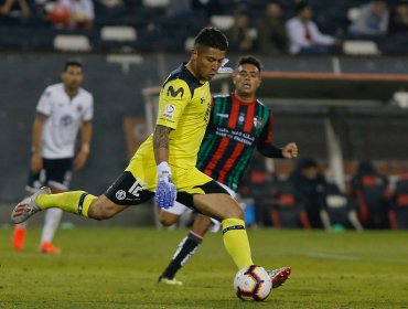 Municipalidad no autoriza duelo entre Palestino y Colo-Colo en La Cisterna