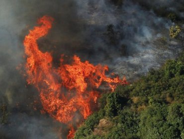 Alerta amarilla por incendio forestal que destruyó una vivienda en Monte Patria