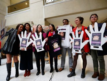 Comisión de la Mujer del Senado aprobó ley Gabriela que amplía la tipificación de femicidio