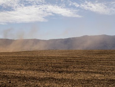 Gobierno declaró zona de emergencia agrícola en 17 comunas de la región Metropolitana