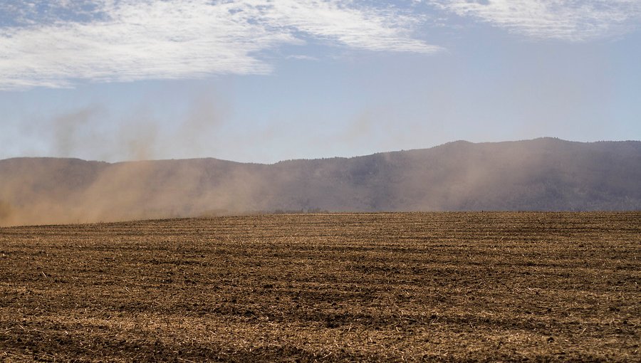 Gobierno declaró zona de emergencia agrícola en 17 comunas de la región Metropolitana