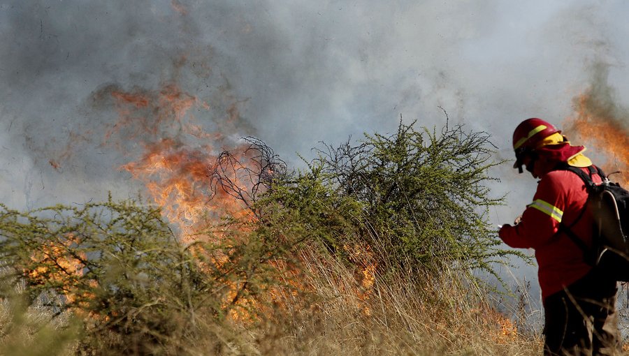 Declaran Alerta Roja en La Ligua y Cabildo por incendio forestal activo