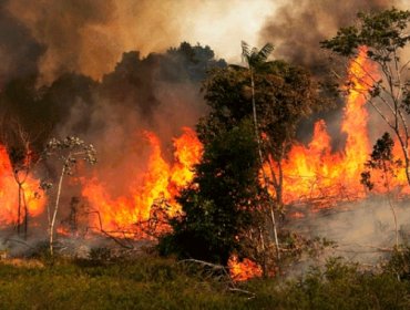 Gobierno ofreció colaboración a Brasil para extinguir los incendios en la Amazonía