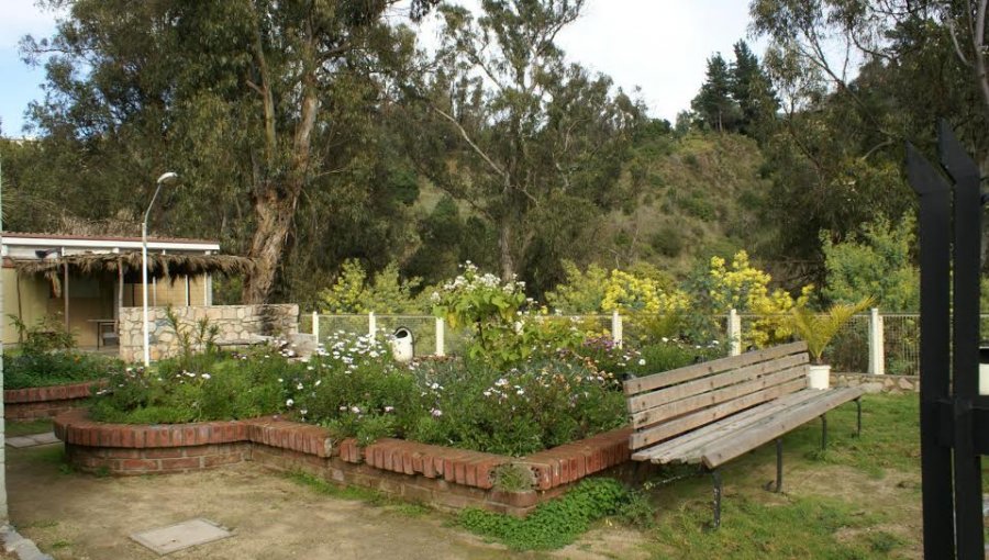 Desde este sábado, comunidad podrá volver a disfrutar del Parque Quintil de Valparaíso