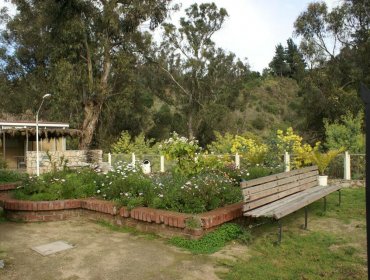 Desde este sábado, comunidad podrá volver a disfrutar del Parque Quintil de Valparaíso