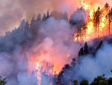 Bolsonaro ordena a las Fuerzas Armadas a combatir los incendios forestales en el Amazonas