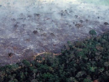 Gobierno de Bolsonaro rechaza ayuda del G7 para combatir incendios en la Amazonía