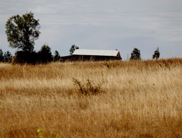 Sequía: Ministro de Obras Públicas asegura que abastecimiento de agua ”hoy no está en riesgo"