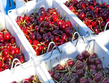 Exportaciones de cerezas superan por primera vez a los de uva de mesa