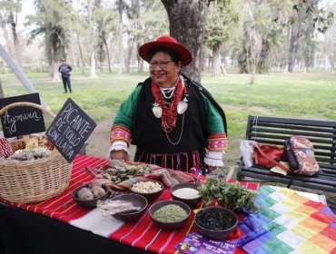 Incluirán recetas Aymaras, Rapa Nui y Mapuche al almuerzo escolar de Junaeb