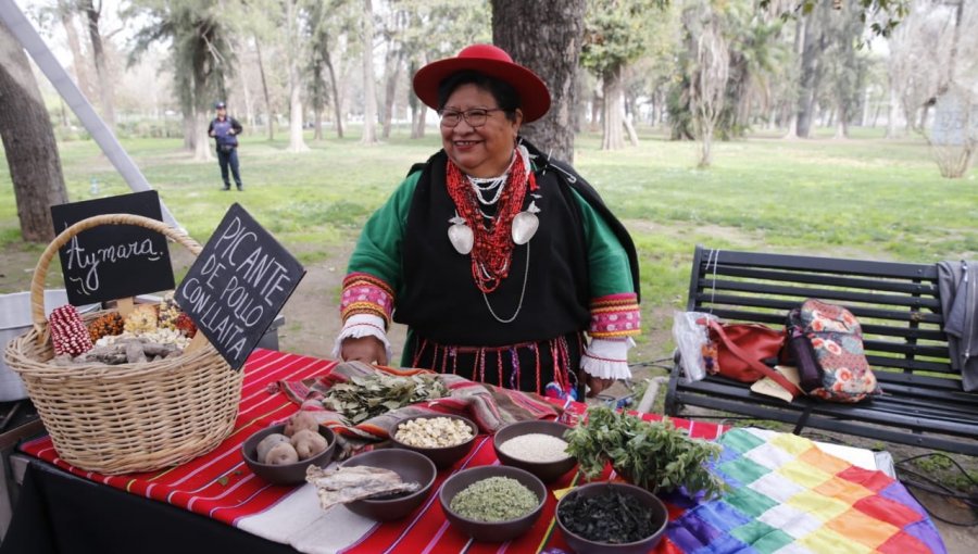 Incluirán recetas Aymaras, Rapa Nui y Mapuche al almuerzo escolar de Junaeb