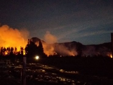 Reactivación de incendio forestal en Panquehue consumió cinco hectáreas: emergencia fue controlada