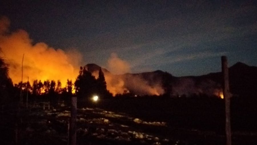 Reactivación de incendio forestal en Panquehue consumió cinco hectáreas: emergencia fue controlada