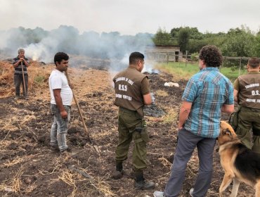 Conaf Valparaíso prohíbe quemas de desechos agrícolas y forestales durante todo septiembre