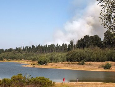 Lago Peñuelas tiene actualmente el 10% de su capacidad hídrica