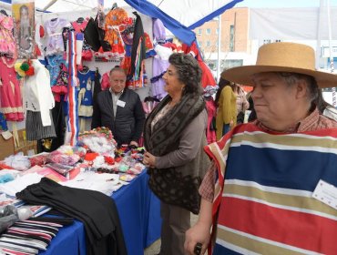 27 exponentes dan vida a la IV Feria Costumbrista de Viña del Mar