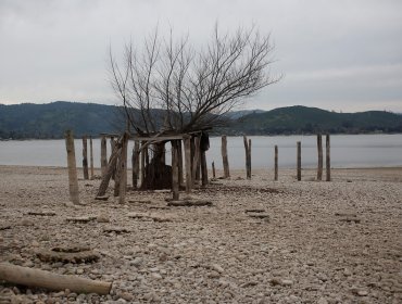 Cadem: Siete de cada 10 chilenos cree que el cambio climático se puede parar y dar marcha atrás