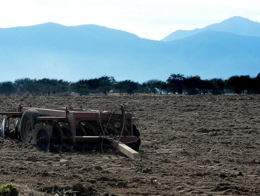 Decretan emergencia agrícola en nueve comunas rurales de la región del Maule