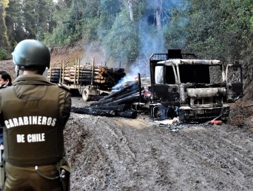 Nuevo ataque incendiario afectó a fundo de Forestal Mininco en La Araucanía