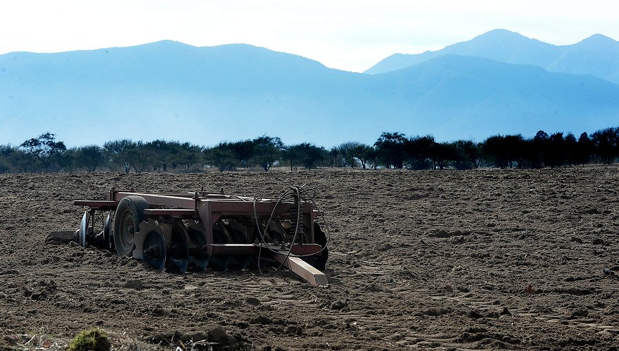 Decretan emergencia agrícola en nueve comunas rurales de la región del Maule