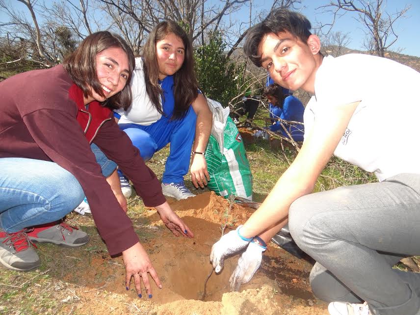 Imagen foto_00000004