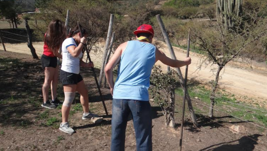 Conaf donó 250 árboles nativos para reforestar sector de Quebrada Escobares en Villa Alemana