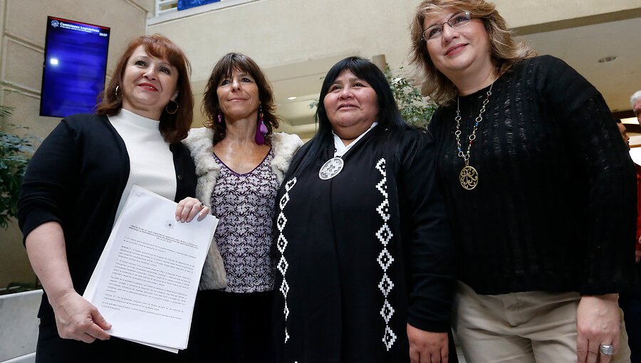 Diputadas presentan proyecto para declarar feriado nacional el 21 de junio