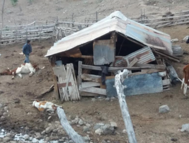 Denuncian que bonos de emergencia para crianceros del Valle de Aconcagua sólo beneficiaron a usuarios de Indap