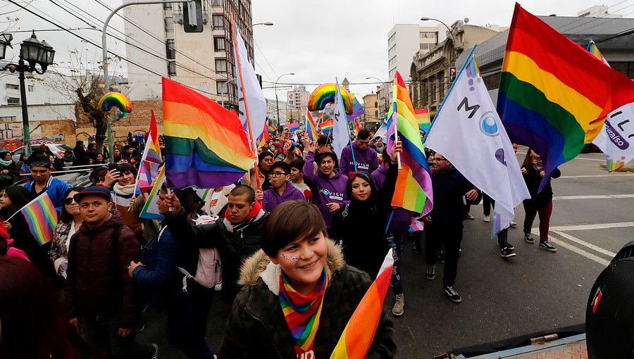 Movilh realizará marcha por el matrimonio igualitario este sábado en Valparaíso