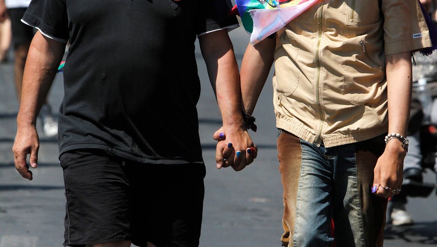 Fundación Iguales celebró que se retome discusión del matrimonio igualitario en el Congreso