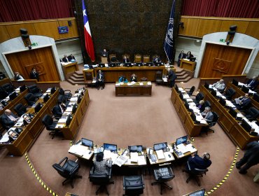 Sala del Senado aprobó proyecto que establece etiquetado de la leche y productos lácteos