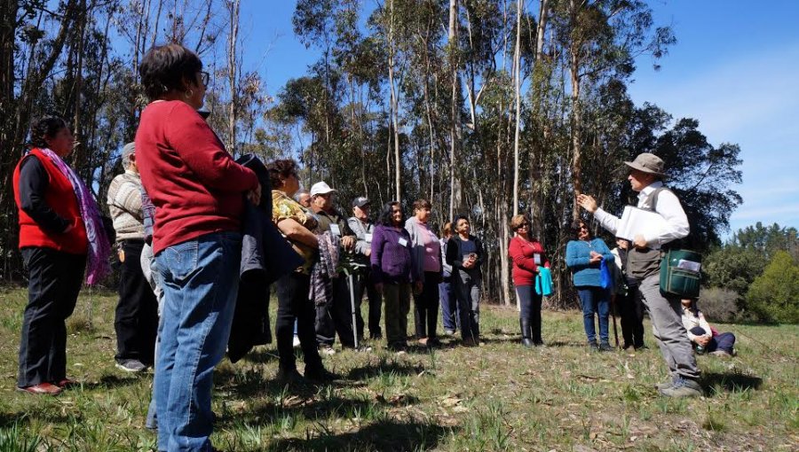 Adultos mayores de Casablanca vivieron inédito “baño de bosque” en la Reserva Nacional Lago Peñuelas